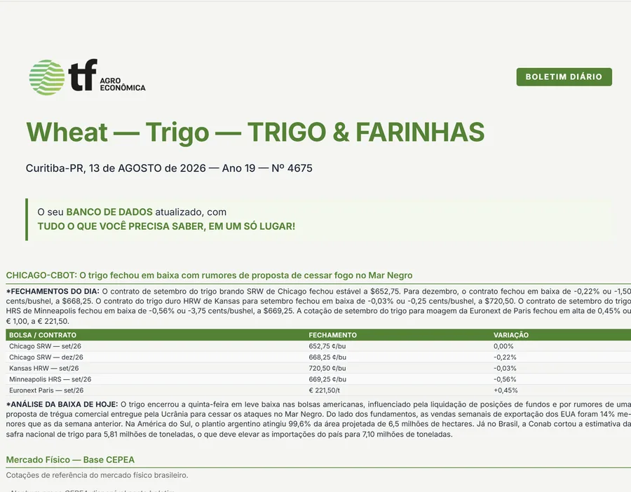 Boletim diário de trigo Nº 4675 aberto no portal do cliente: fechamentos da CBOT e análise do dia